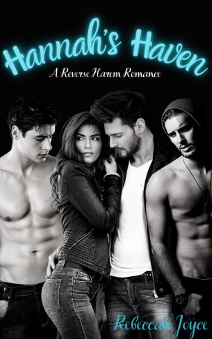 Book cover featuring 3 men and a woman titled Hannah's Haven